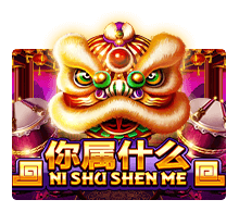 nishushenme